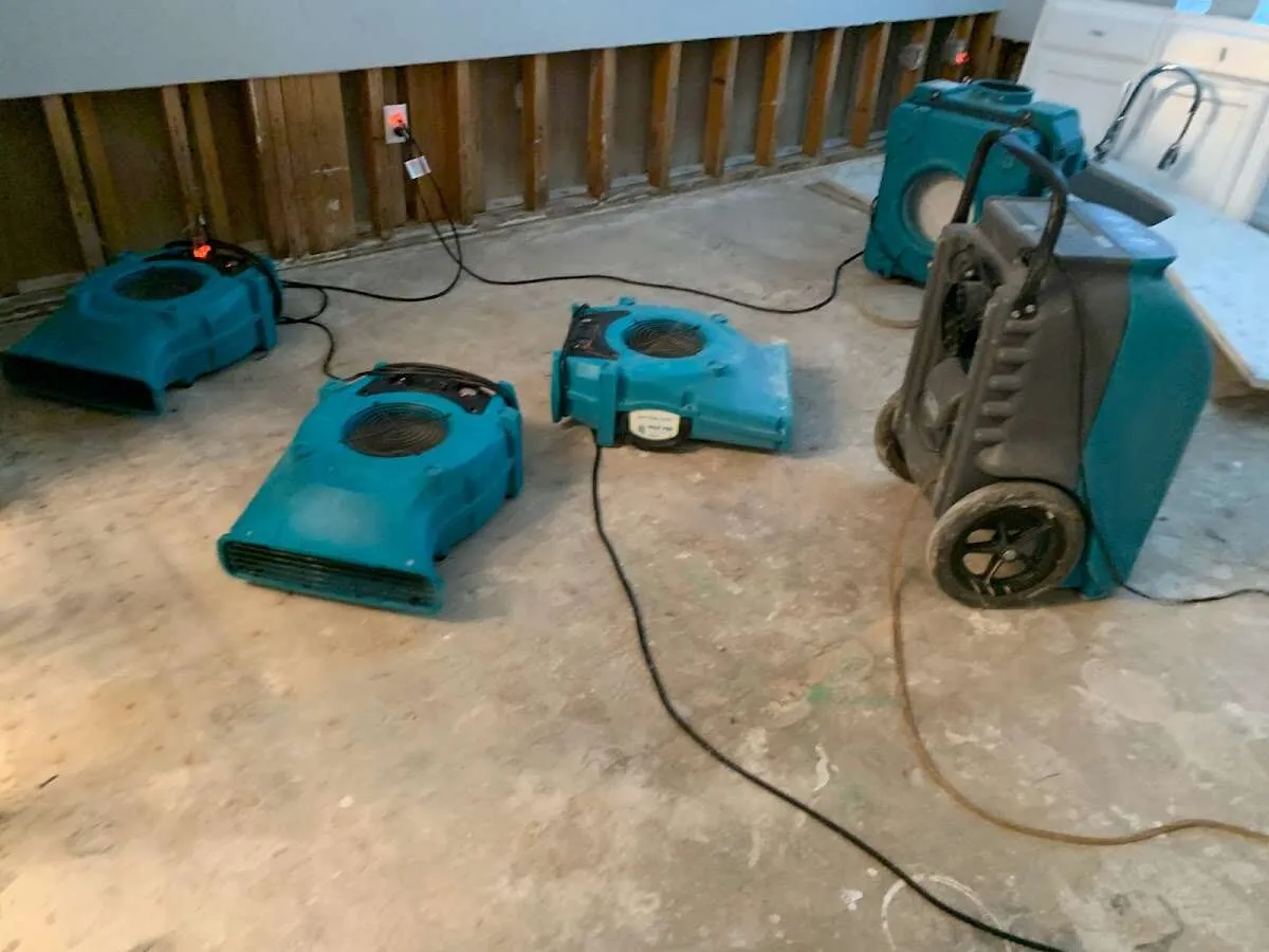 Water Damage Restoration services in Boulder Creek, CA